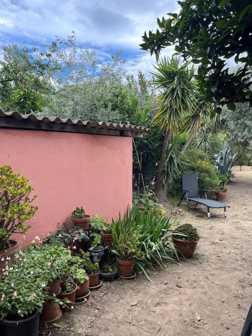 Maison De Village Vintage Avec Grand Jardin Elne Ngoại thất bức ảnh